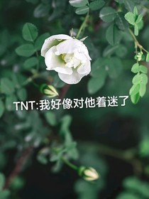 TNT：我好像对他着迷了