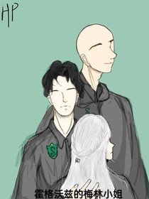 HP霍格沃兹的梅林小姐