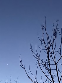 逐日觅星之途
