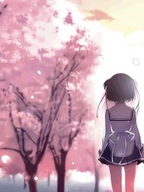 樱花知道他