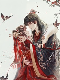 我的神秘夫人
