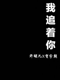 我追着你