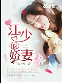 江少的小娇妻的故事