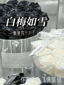 白梅如雪（一集更完！）