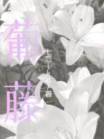 葡萄藤上开不出百合花