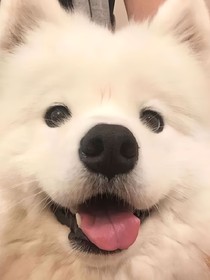万物响