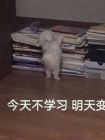 當(dāng)我和她們穿越了（后續(xù)）