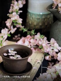 神秘戰(zhàn)隊(duì)之開始