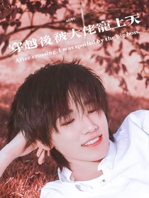all轩：穿越后被大佬宠上天