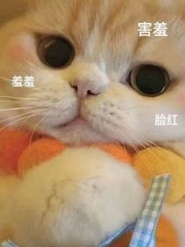 恋过客