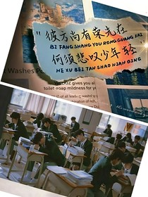 樱花永落