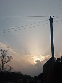 愿我自由