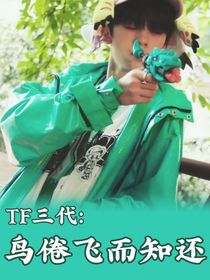 TF三代：鳥(niǎo)倦飛而知還