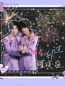 文轩：烟花划过闪耀夜空