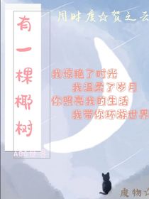 有一棵椰树