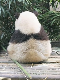 211與322