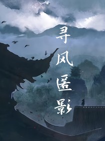 寻风匿影