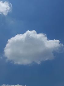 与他热恋中-d783