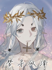 梦寻似泽