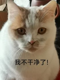 老师，处对象吗