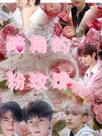 TNT：墻角的粉玫瑰