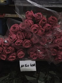 糟糕，内向女神绑定真话系统