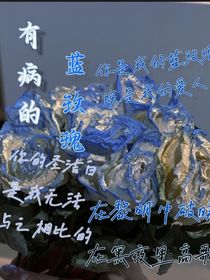有病的藍(lán)玫瑰