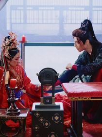 血液澆灌的白色玫瑰