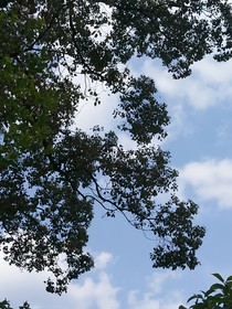 致那年夏天
