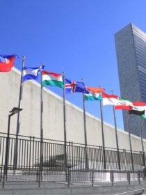 在联合国