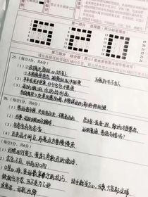 明明是戏，偏偏入局