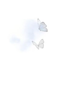 他是我的月光……