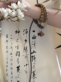 貴妃攻略手冊(cè)