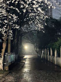 会幸福一辈子
