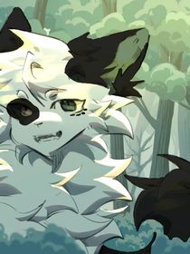 无星之光