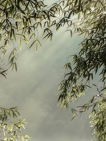 随心诗