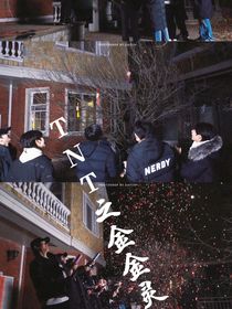 TNT：金金灵灵