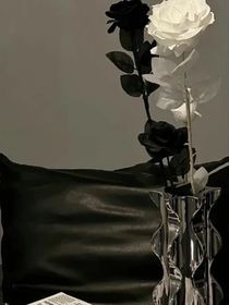 暗恋——不见天日