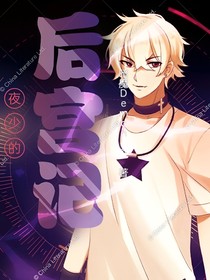 夜少的后宮記