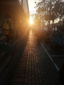 最后的沙雕時光