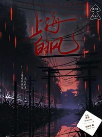 上海的风-d043
