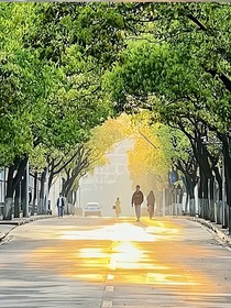 我曾拥抱过你