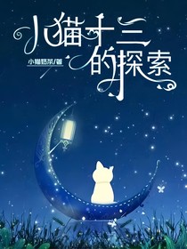 小猫十三的探索