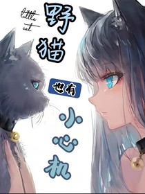 穿越：野猫也有小心机