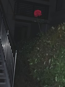 all轩：死亡救赎