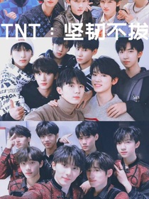 TNT：坚韧不拔