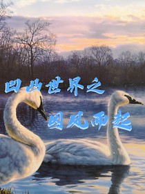 凹凸世界之因风而起