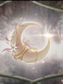 月圆愿君归