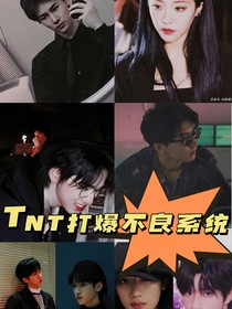 TNT：打爆不良系统