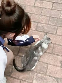 红白人格